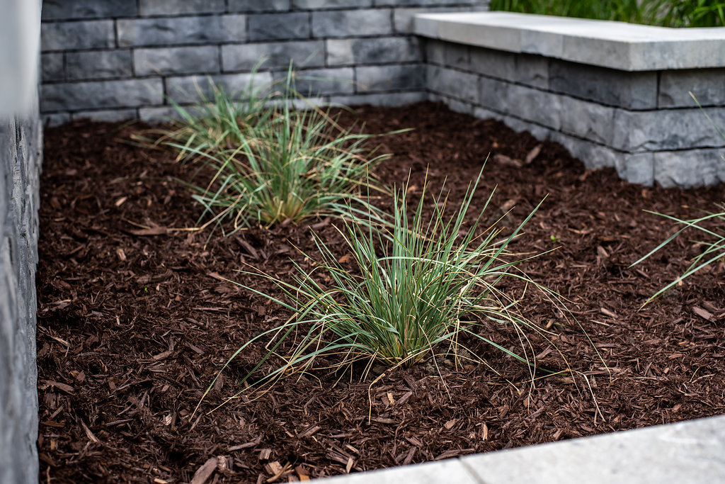 Verano Design Extérieur Inc. photo 4